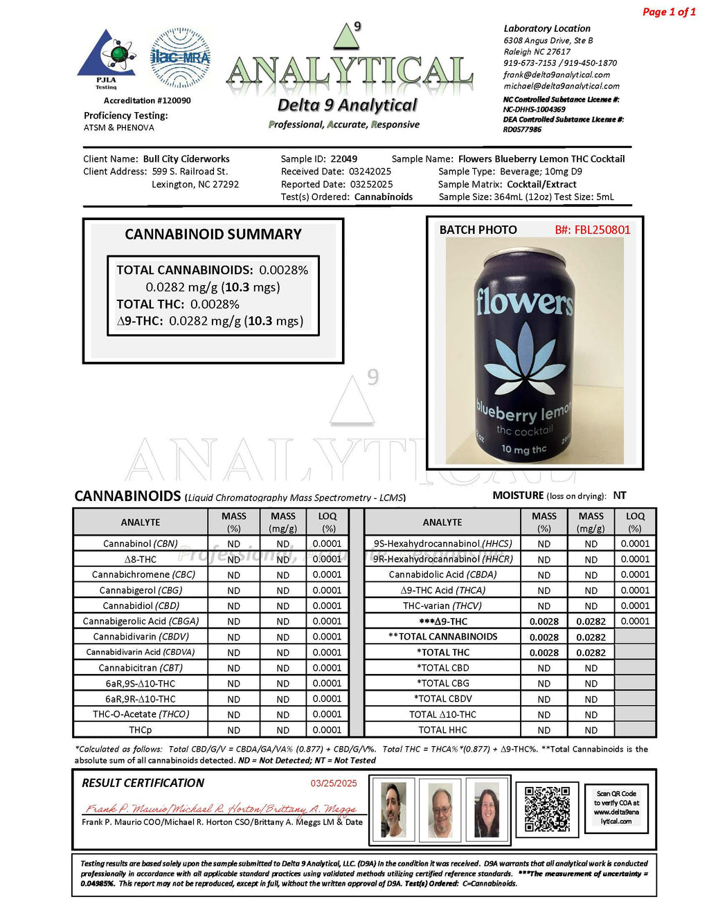 Blueberry Lemon THC Cocktail - 4 Pack