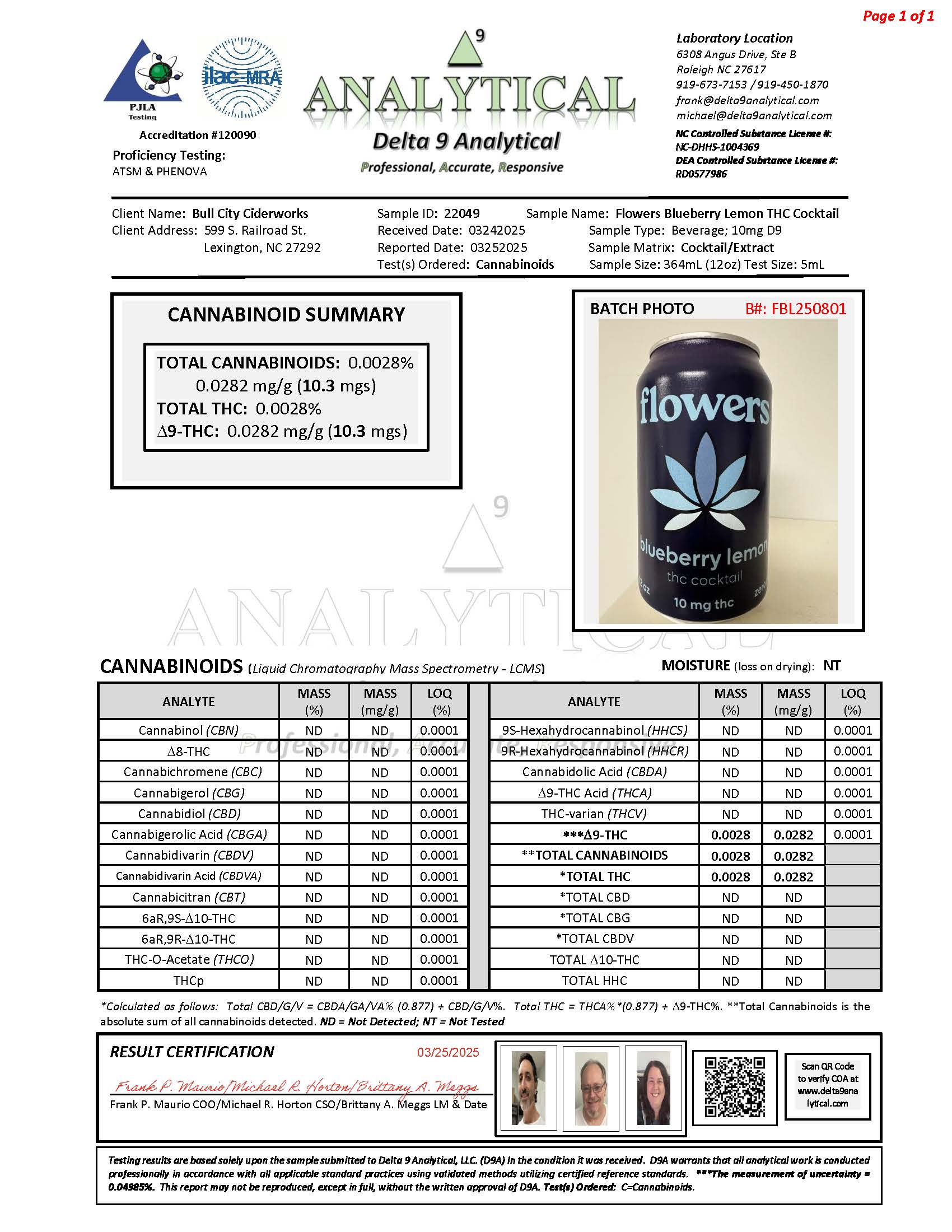 Blueberry Lemon THC Cocktail - 4 Pack